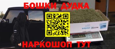 шишки Будённовск
