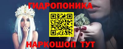 шишки Будённовск